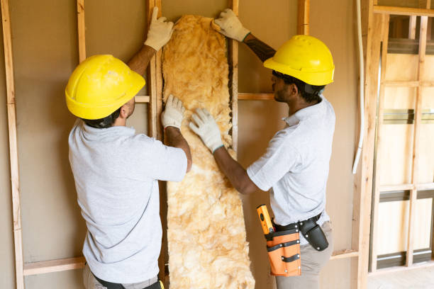 Best Attic Insulation Installation  in Carnegie, PA